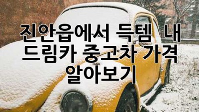 진안읍에서 득템! ✨ 내 드림카 중고차 가격 알아보기 🚗