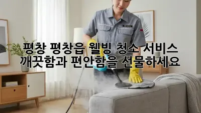 평창 평창읍 웰빙 청소 서비스: 깨끗함과 편안함을 선물하세요!